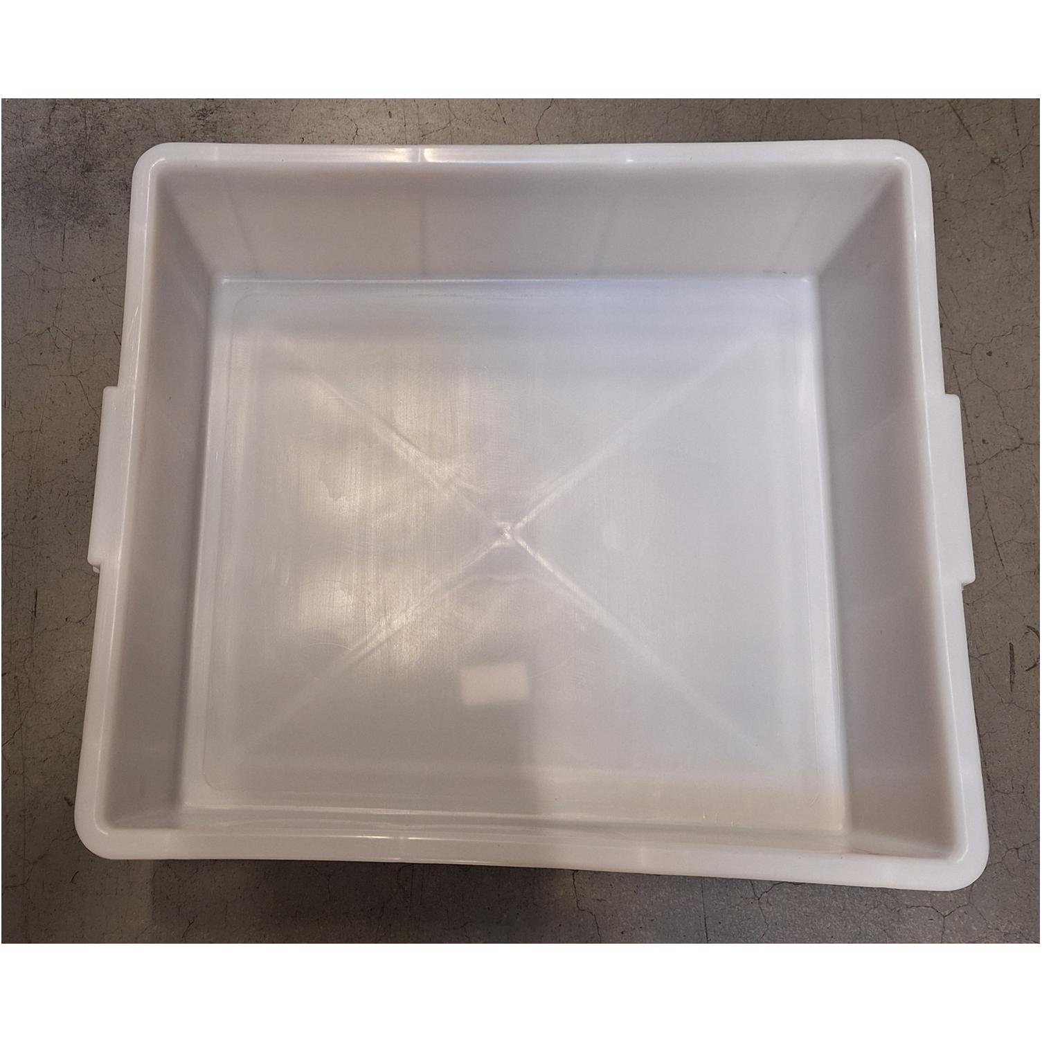 fresh fish tray
