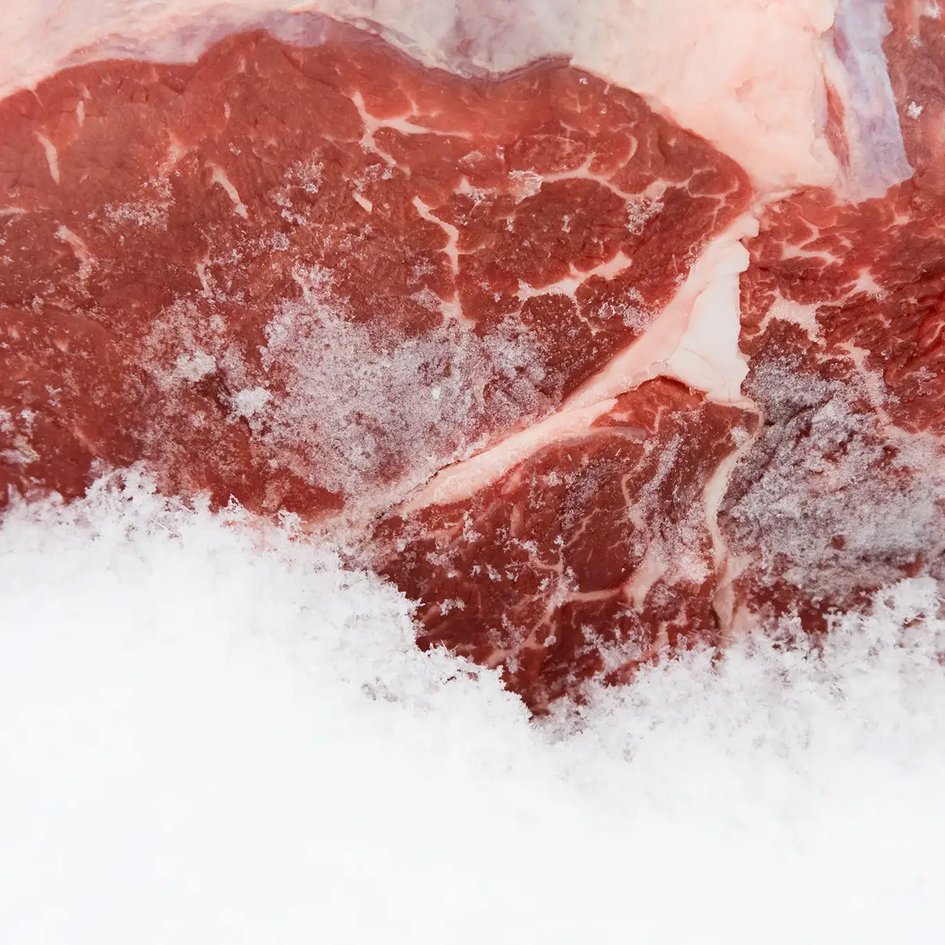 Fresh meat storage cold rooms